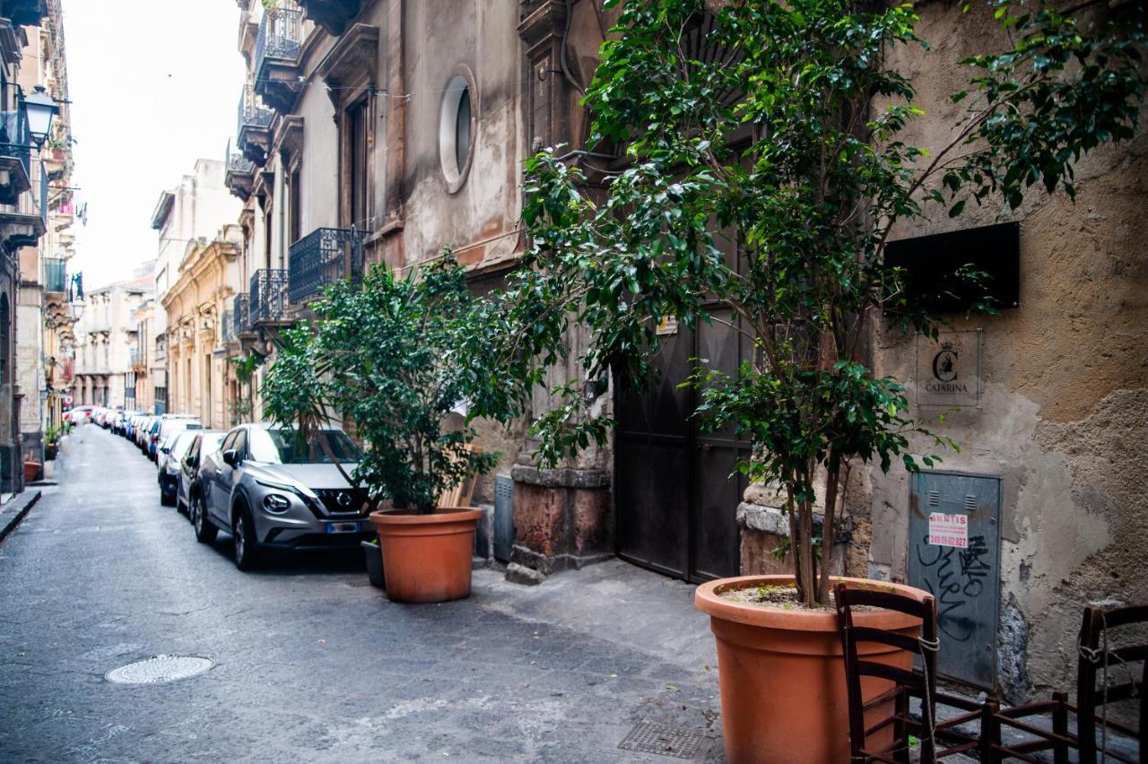 Bed & Breakfast Catarina - Centro Storico